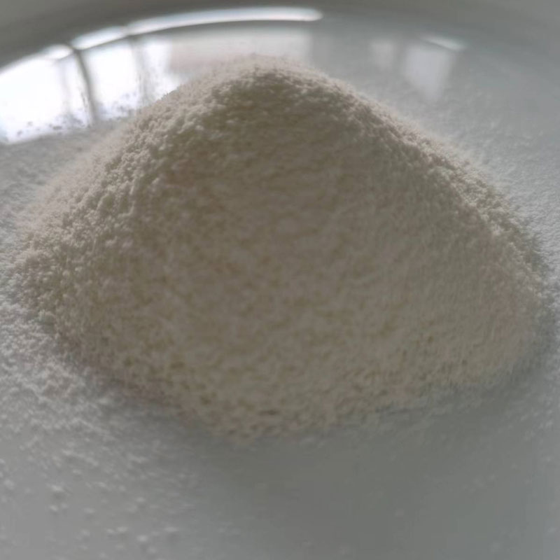 Powdered Non Dairy Creamer for Beverage
